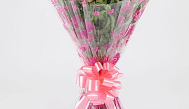 Bunch Of 10 Mixed Roses