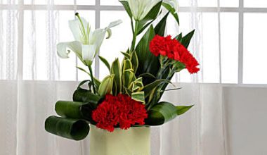 Carnation N Lily Arrangement