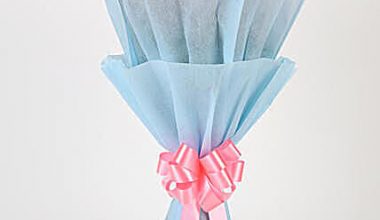 Cute Pink Carnations Bouquet