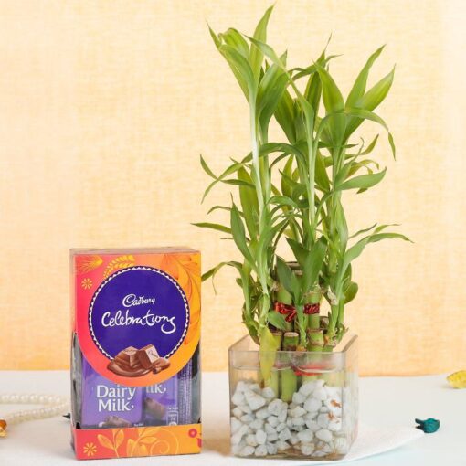 Festive Diwali Pack — Online Delivery in Guwahati | Petalscart
