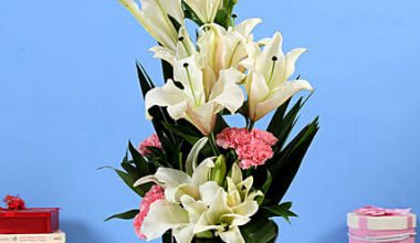 Lilies & Carnations in Glass Vase