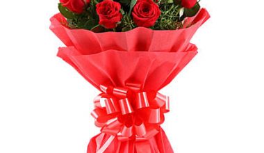 Lovely 12 Red Roses Bouquet