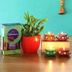 Lucky Bamboo Plant & Diyas With Chocolates