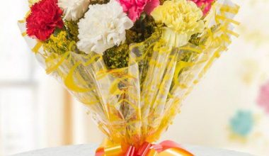 Mixed Colour Carnations