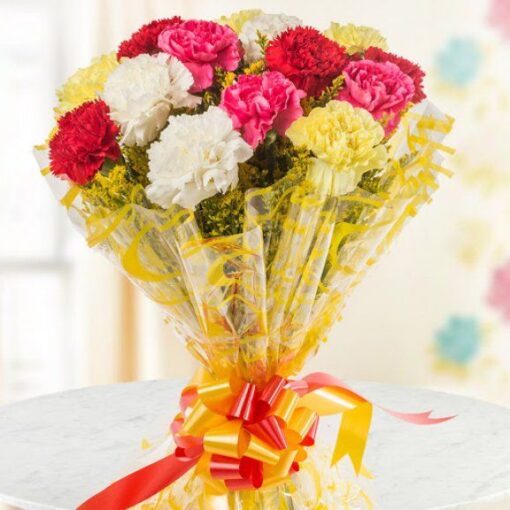 Mixed Colour Carnations — Online Delivery in Guwahati | Petalscart
