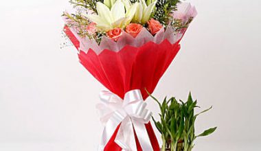 Mixed Flowers & Bamboo Plant