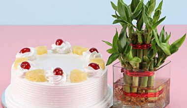 Pineapple Cake N Lucky Bamboo