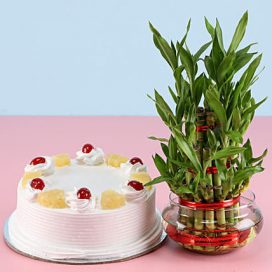 Pineapple Cake N Lucky Bamboo