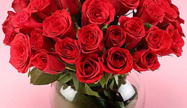 Red Roses Arrangement