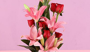 Red Roses & Pink Lilies Love