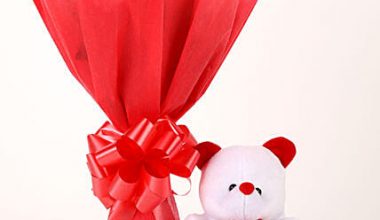 Red Roses & Teddy Bear Combo