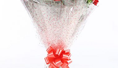 Red & White Carnations Bouquet