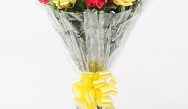 Yellow & Pink Carnations