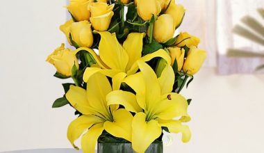 Yellow Roses and Lilies