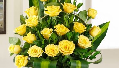 Yellow Roses Basket