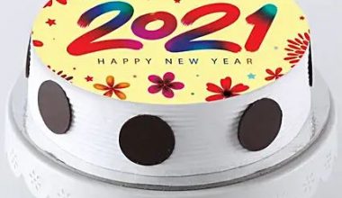 New Year Pineapple Photo Cream Cake