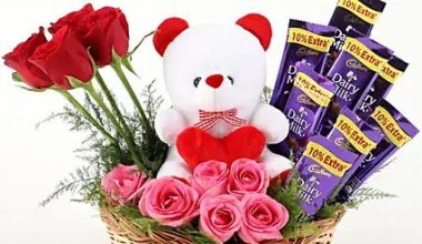 Teddy Chocolate Surprise