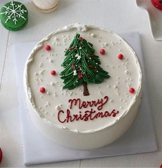 Merry Christmas Cake