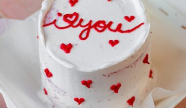 Red Velvet Bento Cake