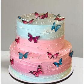 2 Tier Butterfly Cake