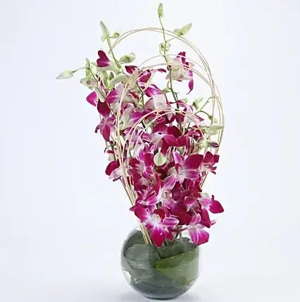 Purple Orchids Vase Arrangement